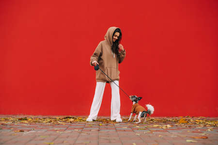 Positive woman playing with a cute dog breed biewer terrier on the street against the backdrop of a...
