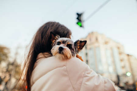 Close photo of a cute dog lying on the shoulder of a woman walking around the city in the evening....