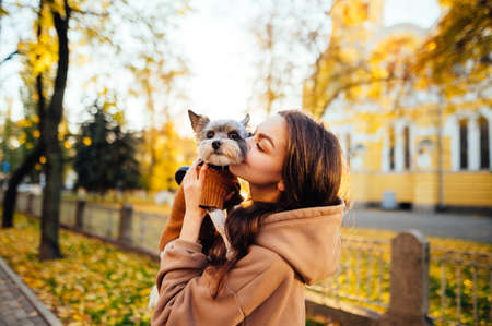 Attractive woman kisses a little cute dog holding in her arms on a background of trees with yellow leaves. Owner spends time with a pet in her arms outdoorsの写真素材
