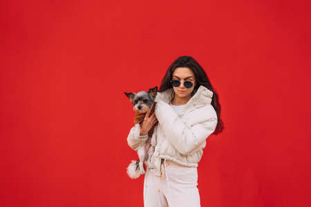 Beautiful woman in stylish casual clothes posing at camera with a cute dog in her arms on a red background. Walk with a pet.の写真素材