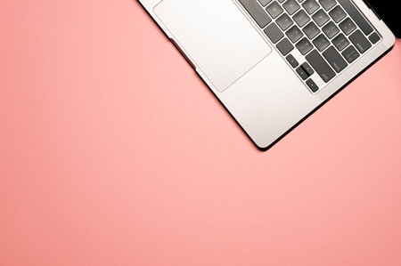Minimalistic simple flat lay photo on a pink background with a modern silver gray laptop with a...