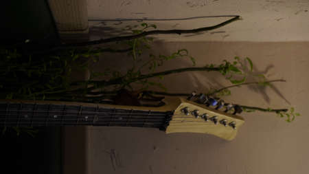 Guitar on the background of the wall.の写真素材