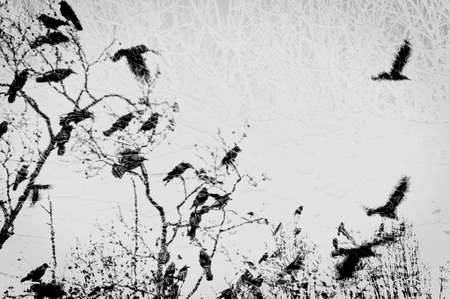 Imaginary winter scene montage