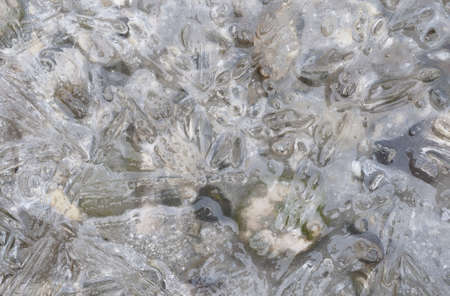 Ice covered stones on the beachの写真素材