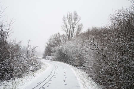 Snow fall at a park with some bike track at a fresh snow on the trailの写真素材