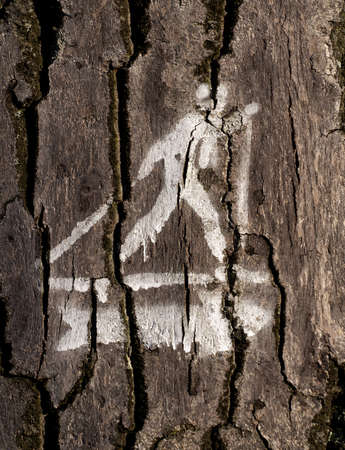Tourist trail sign in the forestの写真素材