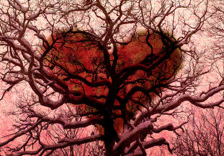 Valentine day hart with tree branchesの写真素材