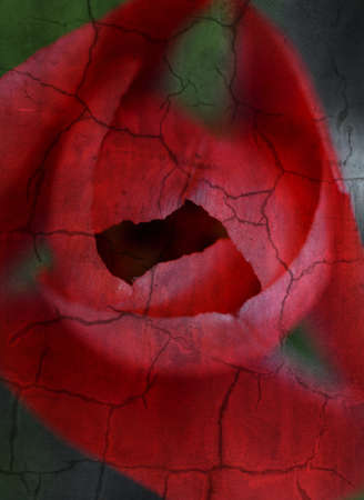 Grunge spring tulip with textureの写真素材