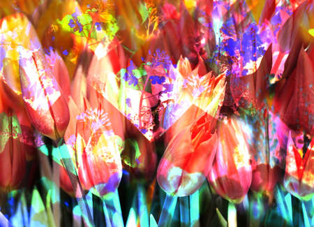 Grunge spring  tulip bouquetの写真素材