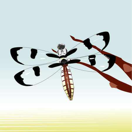 one dragonfly flying  in the airのイラスト素材