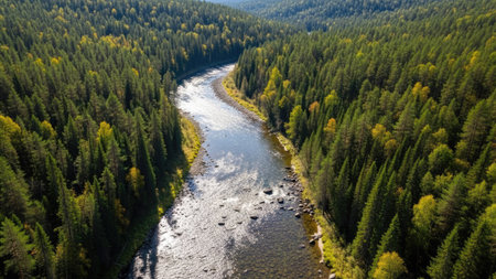 An aerial perspective showcases a river meandering through a lush forest. The scene is dominated by shades of green from the trees, complemented by the blue of the water. Overhead sunlight illuminates the landscape. This image could be suitable for environmental, travel, or nature-related projects.の素材