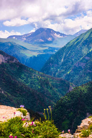 Mountain top