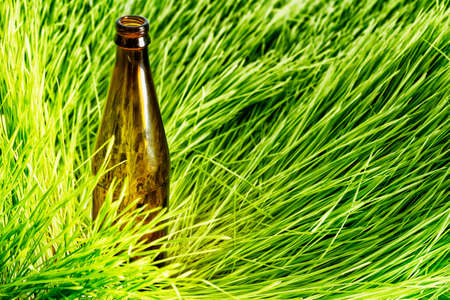 Lawn laying in her glass bottlesの写真素材