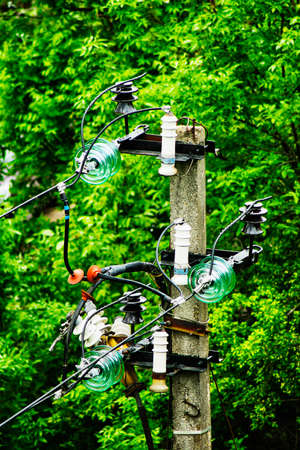 Insulators and electric wires on the poleの写真素材