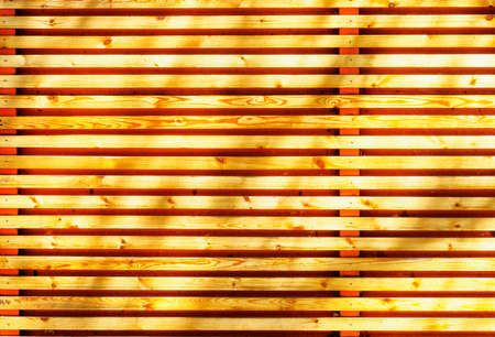 Gnarly plank panel texturedの写真素材