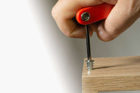 Fastening screw element installed in the corresponding socketの写真素材