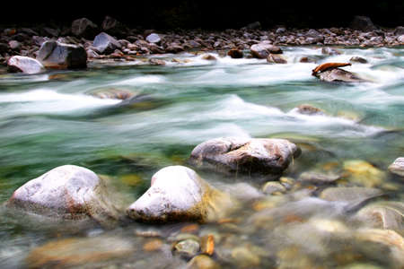 Maggia