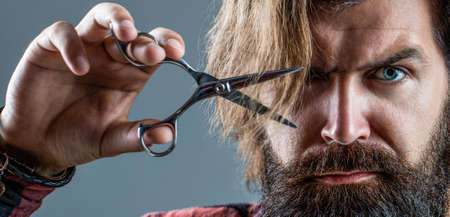 Male in barbershop, haircut, shaving. Bearded man isolated on gray background. Mans haircut in...