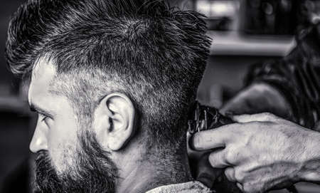 Barber works with hair clipper. Hipster client getting haircut. Hands of barber with hair clipper, close up. Haircut concept. Hipster client getting haircut. Man visiting hairstylist in barbershopの写真素材