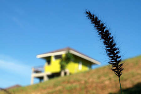 Grass & Houseの写真素材