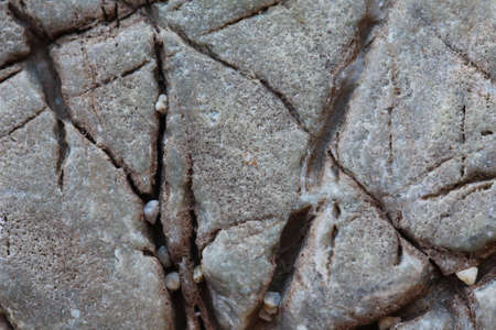 texture of a stoneの写真素材