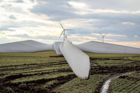 Rotor for wind turbines for mounting in a fieldの写真素材