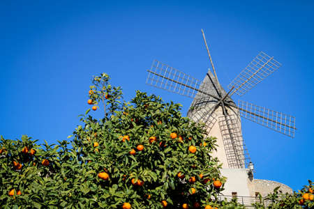 City Views of Palma de Mallorca taken from public placesの写真素材