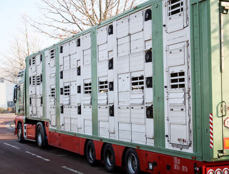 this is a modern livestock transporter