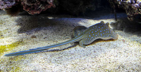 close up of skateの写真素材