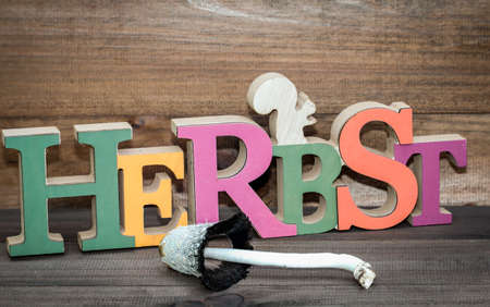 autumnal decorationの写真素材