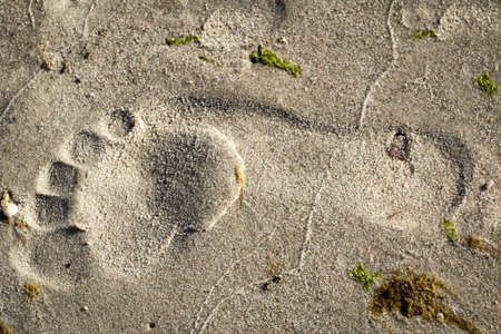 a footprint in the wet sand of the baltic seaの写真素材
