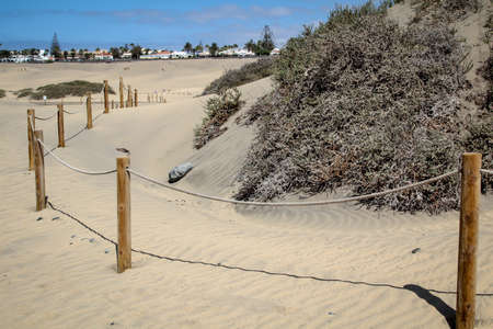 A desert with dunes and a lot of sandの写真素材