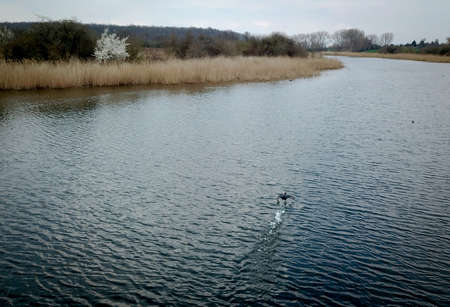 Aerial view of a pond with jetties for rowing boats