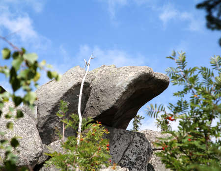 Rock formation and forest in the Harz mountainsの写真素材