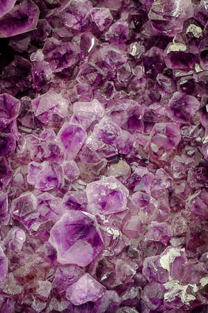 gemstones, shells, fossils and semi-precious stones with beautiful colorsの写真素材