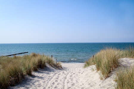View of the dunes and beach on the Baltic seaの写真素材