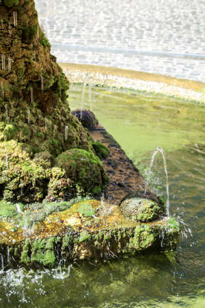 Details of a moss and fern-covered fountain