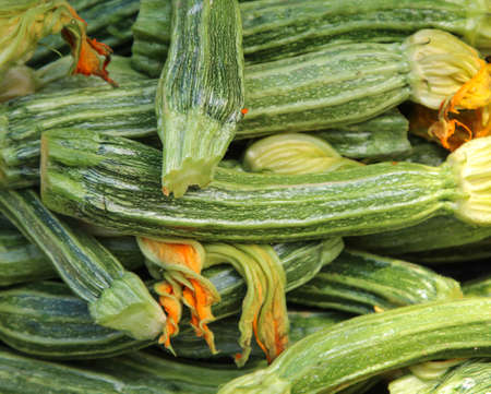 Zucchini, zucchinis are stacked in a box in the marketの写真素材