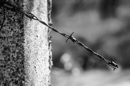 On a fence post, a remnant of the barbed wire is attachedの写真素材