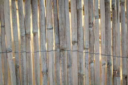 Detail of a privacy screen made of pipe, straw or bamboo, textureの写真素材