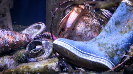 Examples of the increasing pollution of the oceansの写真素材