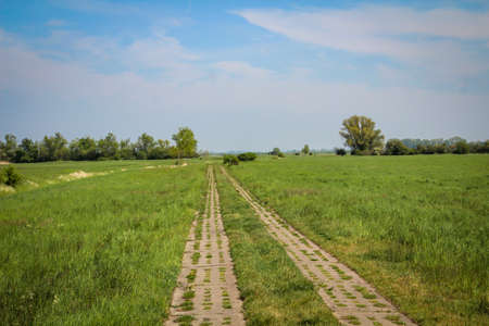 A dirt road or the former column road on the inner German border.の写真素材