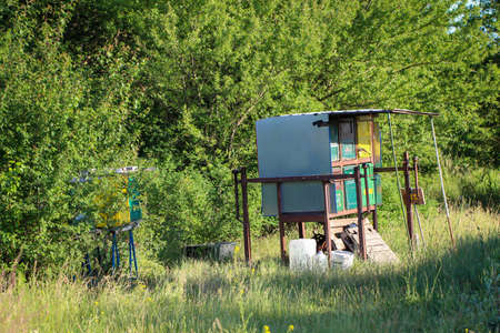 View near beehives for honey production.