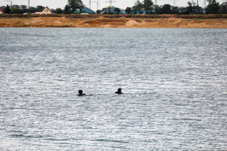 Two divers doing their hobby in a gravel pit.の写真素材