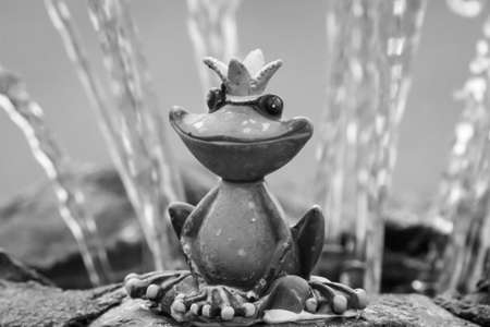 The frog prince is sitting at the edge of a fountain. Fairy tale.