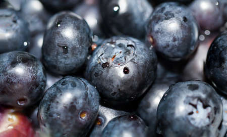 Very tasty and ripe blueberries with small water droplets on the surface.の写真素材