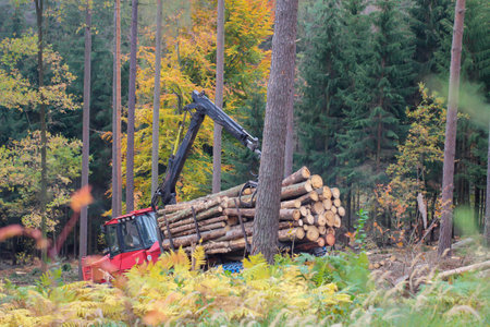 A forest vehicle in a forest clearing felled trees.の写真素材