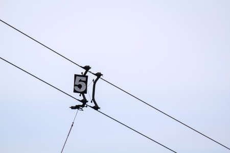 Details, scenes from a water ski facility, water skiing on a lake.