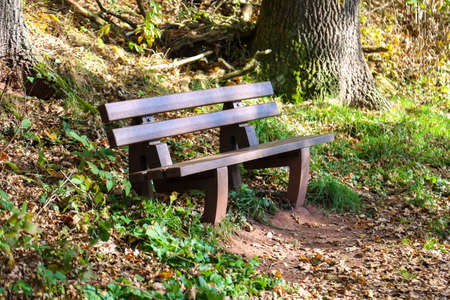 A park bench in autumn light along a hiking trail.