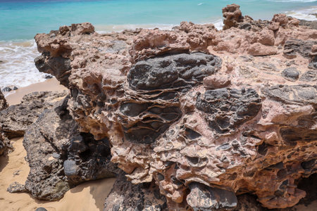 A rock with inclusions. Origin is volcanic activity.の写真素材